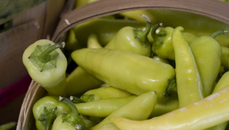 Hot Banana Pepper Plant How To Grow Banana Peppers In Florida | Garden Guides Photo 308