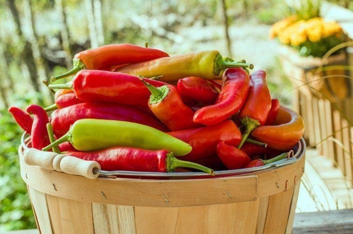 Hot Banana Pepper Plant When To Pick Banana Pepper: All You Need To Know (2019 Update) Picture 155