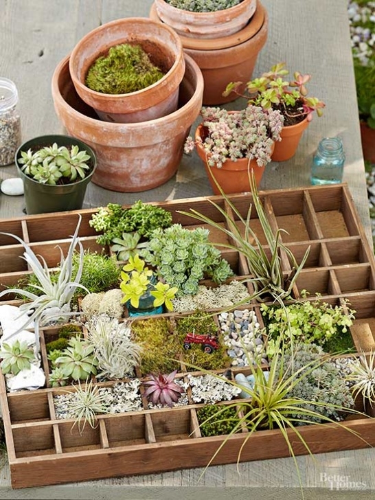 House Plant Grow Light Plant Grow Lights: Which Kind To Choose | Better Homes Image 216