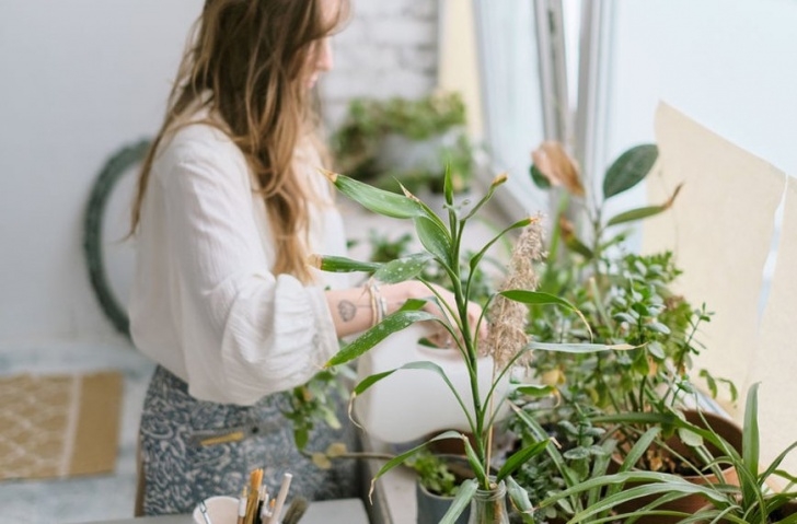 House Plant Grow Light This Diy Grow Light Will Keep Your Plants From Dying This Photo 277
