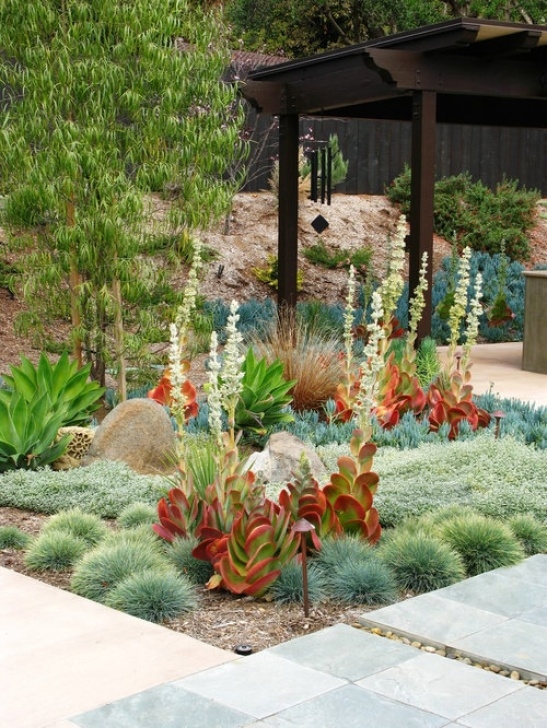 Houzz Gardens And Landscaping Best Low Water Garden Design Ideas &amp; Remodel Pictures | Houzz Image 830