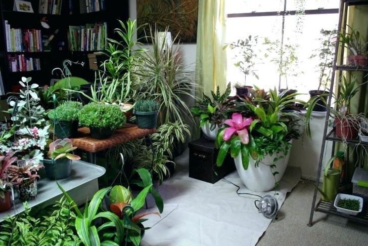 Indoor Apartment Vegetable Gardening Indoor Apartment Gardening Garden Solariums Plans Ideas Image 808