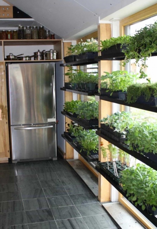 Indoor Apartment Vegetable Gardening Indoor Vegetable Garden #Vegetablegardeningbalcony Picture 645