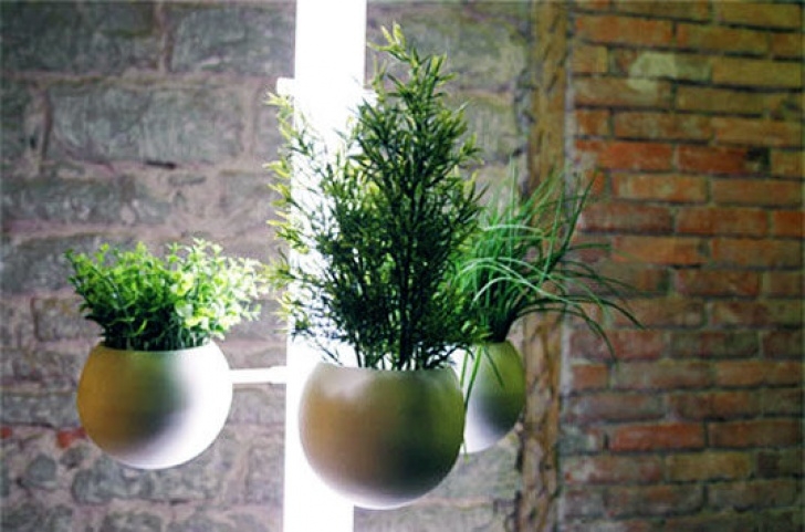 Indoor Apartment Vegetable Gardening Living Lamp Provides Green Indoor Gardening Space Photo 798