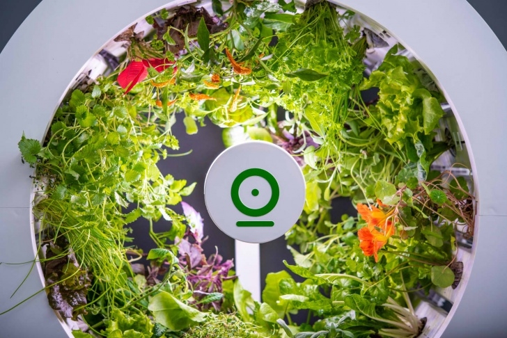 Indoor Apartment Vegetable Gardening Ogarden Indoor Vegetable Garden Kickstarter | Apartment Picture 510