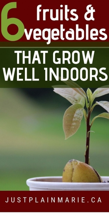 Indoor Fruits And Vegetables 6 Fruit And Vegetables That Grow Indoors (With Images Image 090