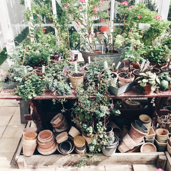 Indoor Garden For Kids Indoor Gardening With Kids - Little Kin Journal Photo 299