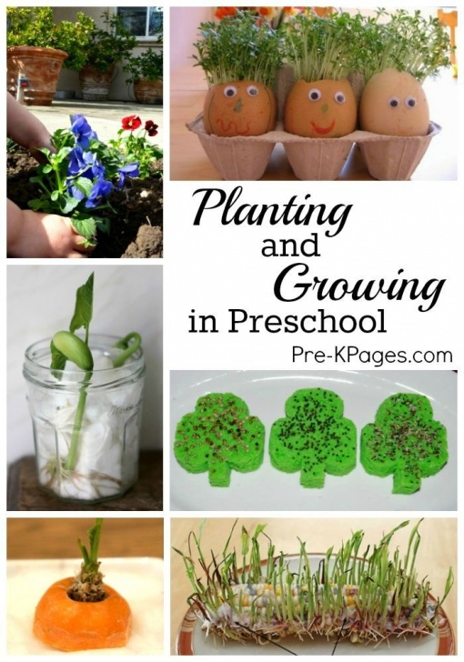Indoor Garden For Kids Planting And Gardening With Preschoolers | Preschool Photo 581