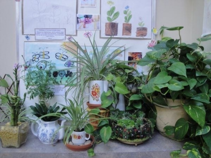 Indoor Garden For Kids Tips For Surviving In A Classroom Without Windows Photo 420