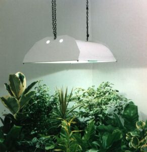 Indoor Garden Grow Lights Brighten Up Your Indoor Garden: Grow Lights Photo 005