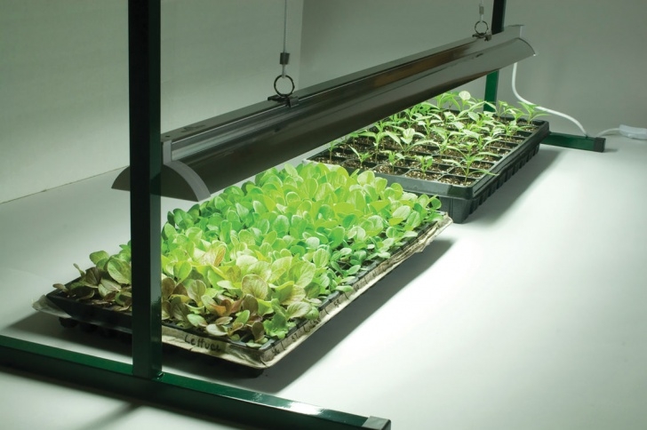 Indoor Garden Grow Lights Can Machine Learning Be Useful In The Ehsq Sector Image 080