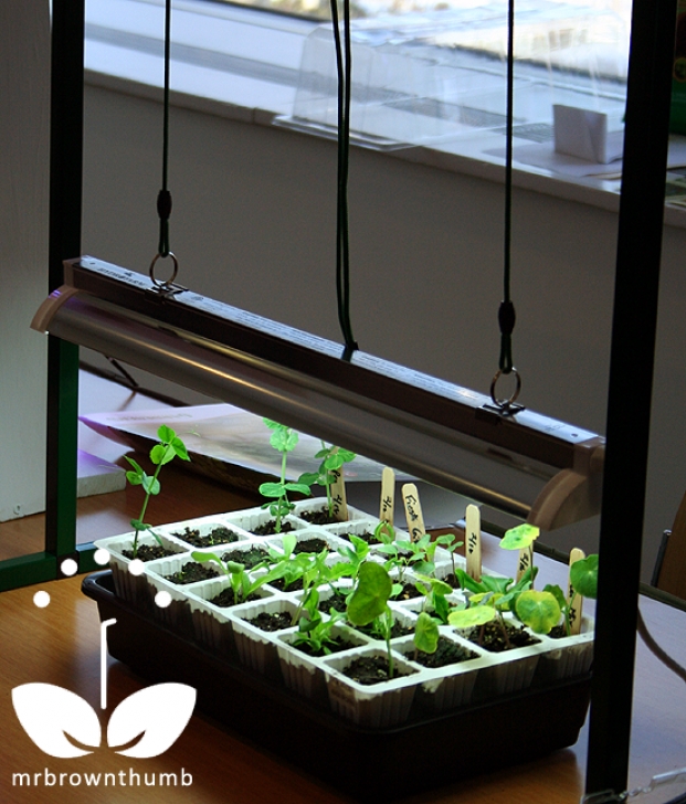 Indoor Garden Grow Lights Grow Lights For Indoor Seed Starting : Mrbrownthumb Image 125