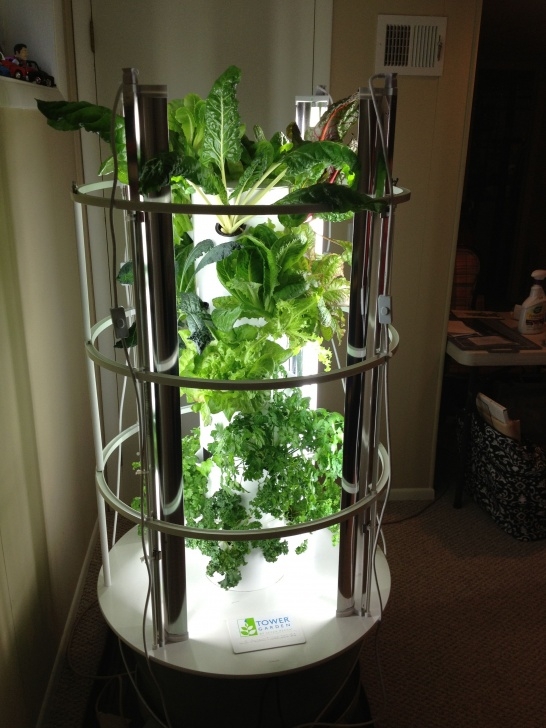 Indoor Garden Grow Lights My Indoor Tower Garden With Grow Lights. Moves Outside In Picture 233