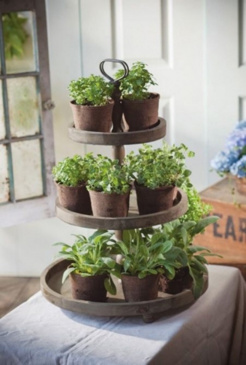 Indoor Gardening Ppt 20 Ways To Start An Indoor Herb Garden | Brit + Co Picture 555