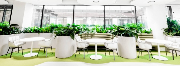 Indoor Gardening Ppt Indoor Plants In Office Environments Photo 028