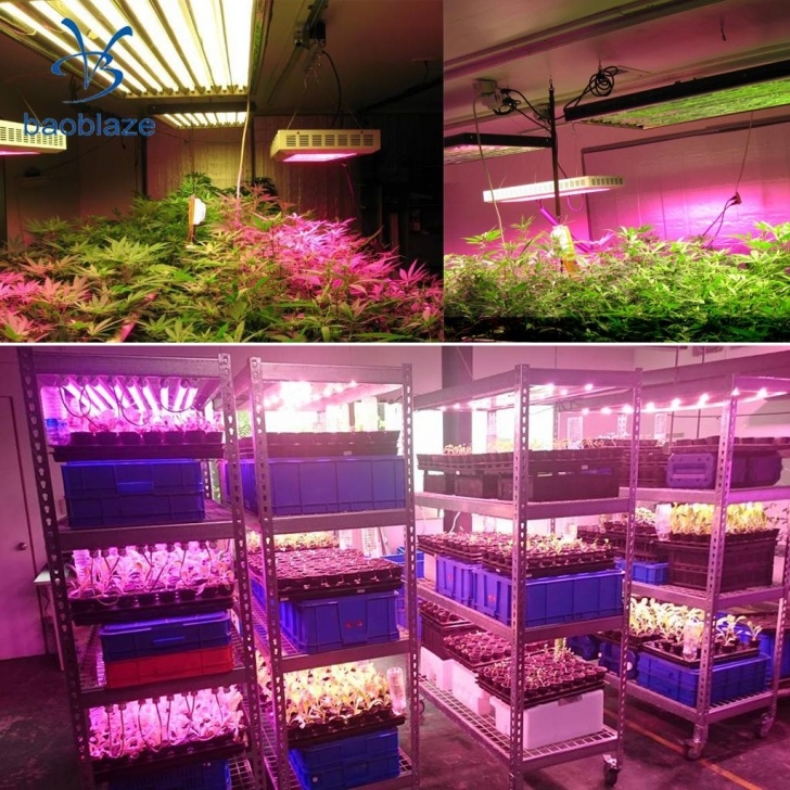 Indoor Greenhouse With Grow Lights 30W Led Grow Light Full Spectrum Plant Lights For Picture 764