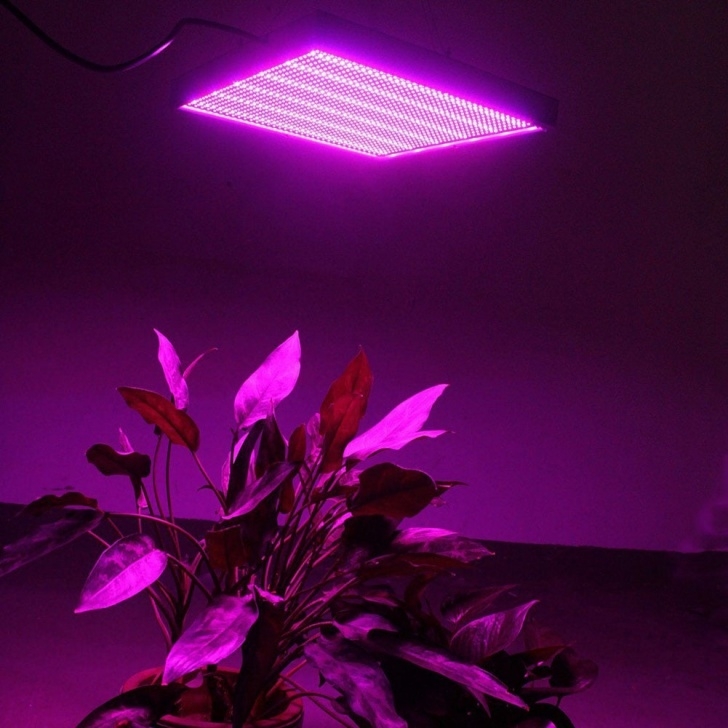 Indoor Greenhouse With Grow Lights Aliexpress : Buy 120W Uv Led Plant Growing Lamp Bulb Photo 407