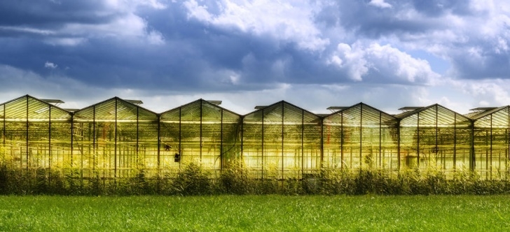 Indoor Greenhouse With Grow Lights Thrive Agritech – Technologies For Sustainable Indoor Picture 702