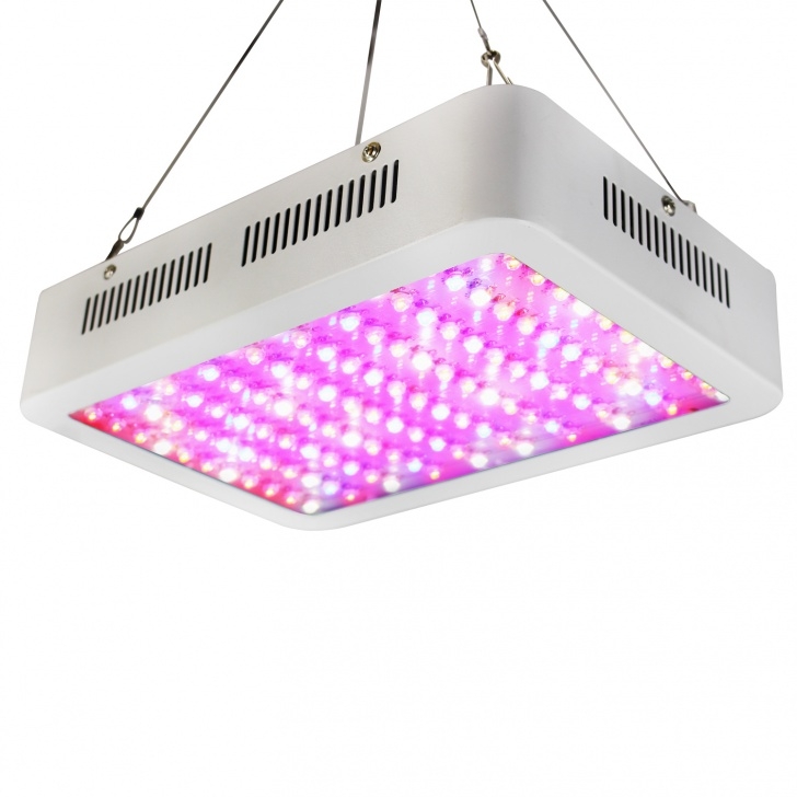 Indoor Greenhouse With Grow Lights Ubesgoo 1200W Double Chips Full Specturm Led Grow Light Photo 126