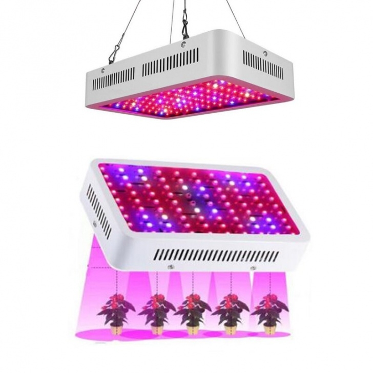 Indoor Greenhouse With Lights 1000W Plant Growth Lamp Greenhouse Vegetable Plants Fill Image 388