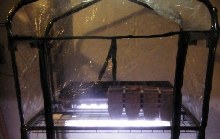 Indoor Greenhouse With Lights Minneapolis Homestead: Diy Inexpensive Seed Starting Setup Photo 206