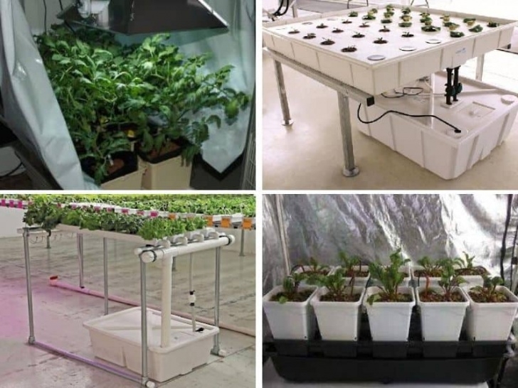 Indoor Grow Kits For Vegetables Complete Hydroponic Kits For Growing Vegetables Indoors Photo 865