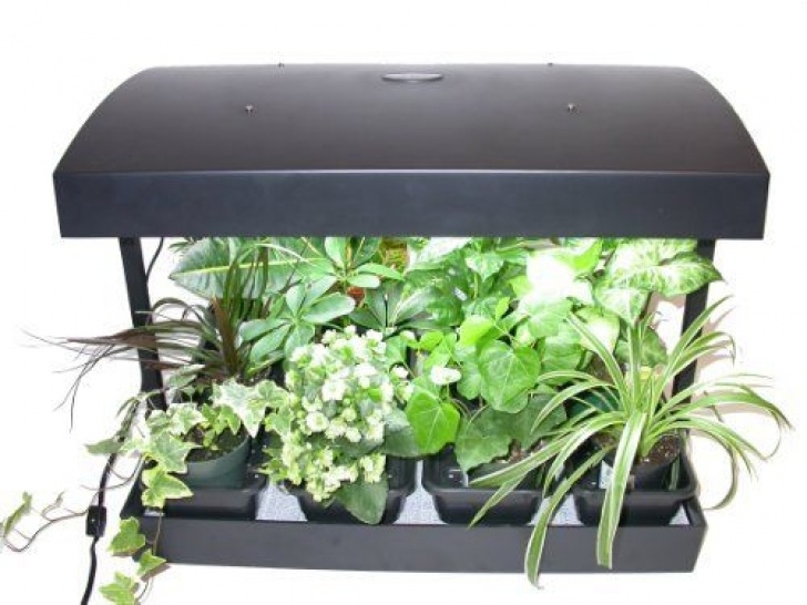 Indoor Grow Kits For Vegetables Future Harvest Development Sun Blaster Grow Light Garden Photo 015