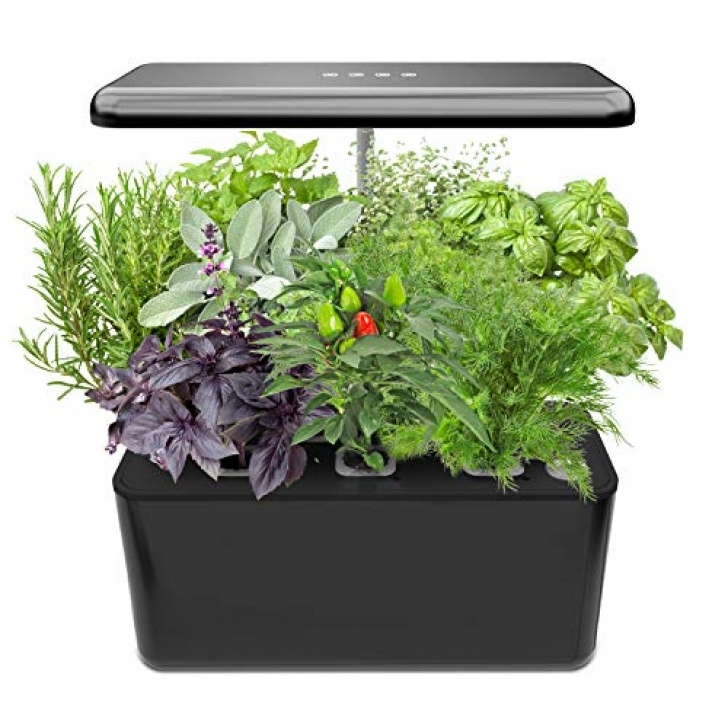 Indoor Grow Kits For Vegetables Indoor Gardening Kit Hydroponics Growing System - Amplefair Photo 745