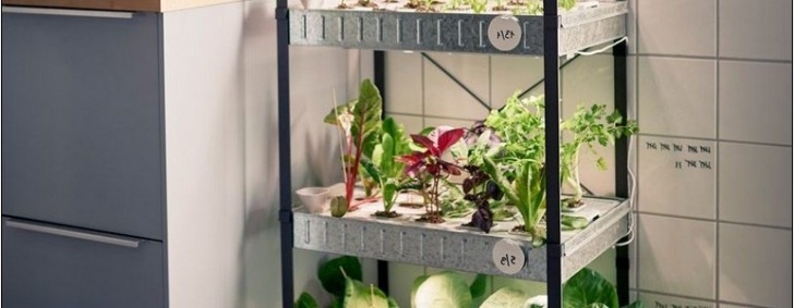 Indoor Grow Kits For Vegetables Indoor Hydroponic Vegetable Garden Kit | Home And Garden Picture 148