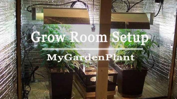 Indoor Grow Light Setup A Grow Room Setup: Step By Step Guide - Mygardenplant Photo 569