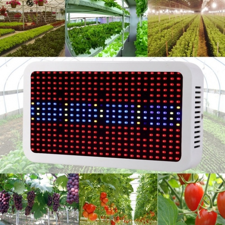 Indoor Grow Light System Aliexpress : Buy 400 Leds Grow Lights Full Spectrum Photo 888