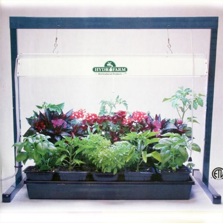 Indoor Grow Light System Indoor Grow Lights : Hydrofarm Jump Start Indoor Grow Image 086
