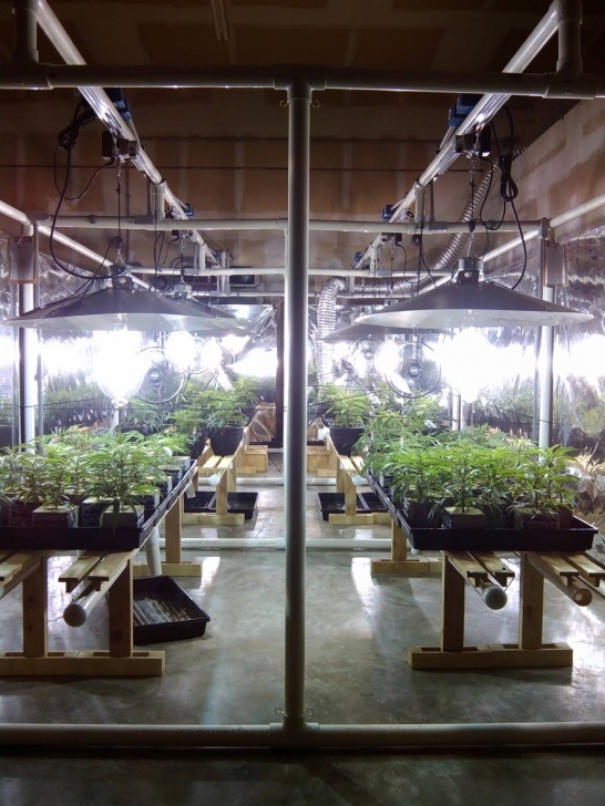Indoor Grow Light System Industrial Light Mover - Indoor Growing Equipment Picture 121