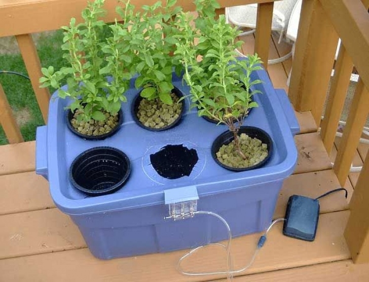 Indoor Growing Systems For Vegetables 33 Amazing Hydroponic Systems For Indoor Gardening Photo 314