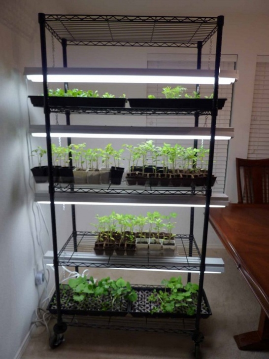 Indoor Growing Systems For Vegetables China Indoor Microgreen Growing Hydroponic System, High Photo 617