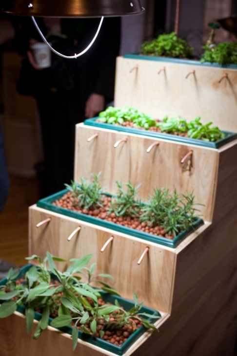 Indoor Growing Systems For Vegetables Planting Steps | Hydroponic Gardening, Self Watering Image 860
