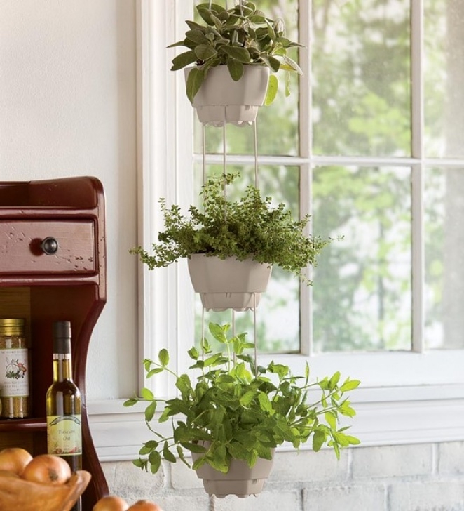 Indoor Hanging Plant Pots 3-Pot Self-Watering Hanging Herb Planter - Contemporary Picture 399
