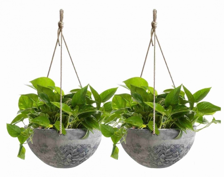 Indoor Hanging Plant Pots Add Greenery To Your Home. Use Decorative Indoor Hanging Image 211