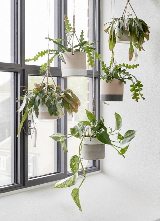 Indoor Hanging Plant Pots Create Coziness With Hübsch Aw2015 (Houseofc) | Hanging Image 309