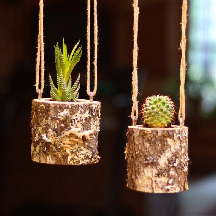 Indoor Hanging Plant Pots Hanging Planter Indoors Rustic Hanging Succulent Planter Log Picture 972