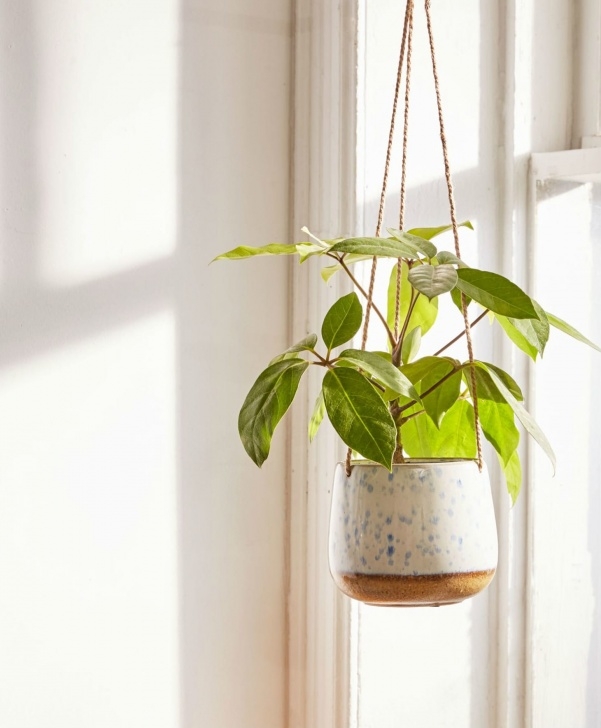 Indoor Hanging Plant Pots The Best Stylish Indoor Hanging Planters Of 2018 Image 367