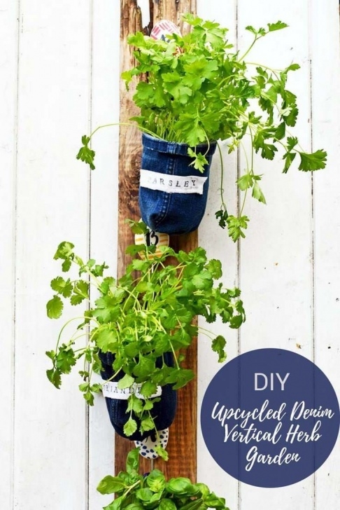 Indoor Herb Garden Light 135293 Best Hometalk: Summer Inspiration Images On Image 542