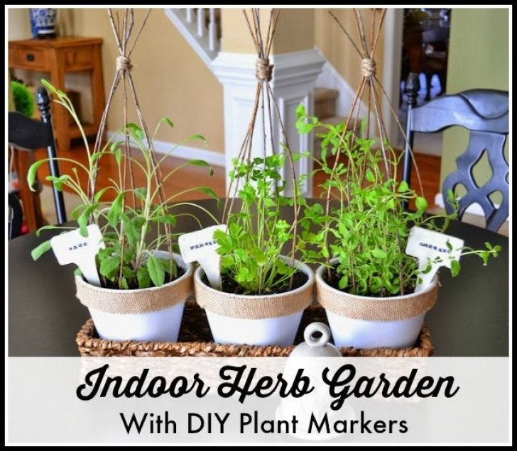 Indoor Herb Garden Light A Pretty Mini Indoor Herb Garden And Diy Plant Markers Photo 859