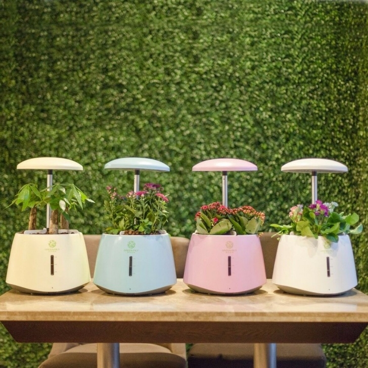 Indoor Herb Garden Light Smart Hydroponics Indoor Herb Garden Kit Adjustable Pot Photo 291
