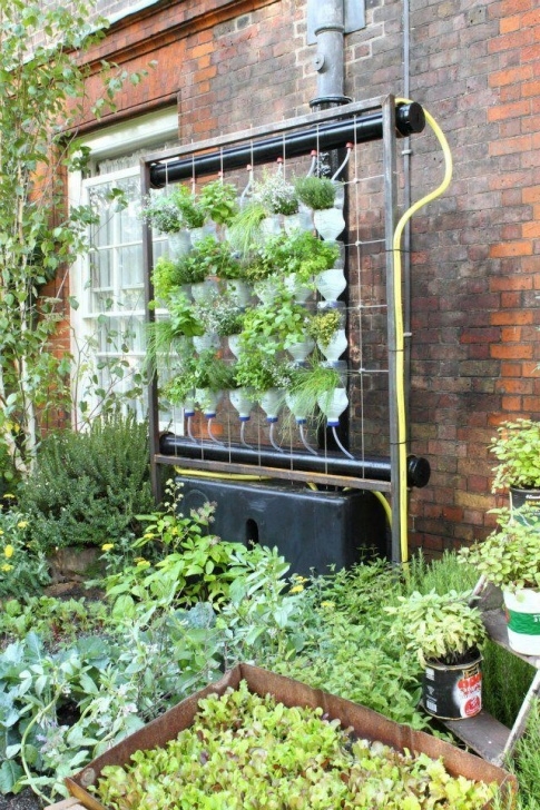 Indoor Hydroponic Gardening Systems (97) Facebook Http://Www.facebook/Growfoodnotlawns Photo 508