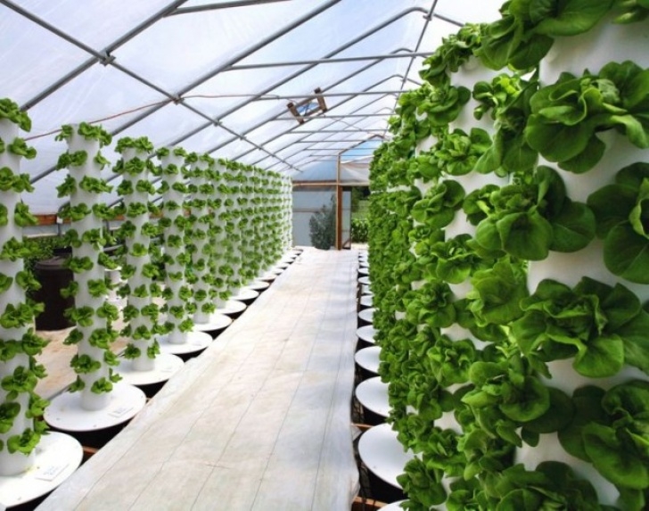 Indoor Hydroponic Gardening Systems Aeroponics 2.0: Advanced Soilless Growing Technology Image 058