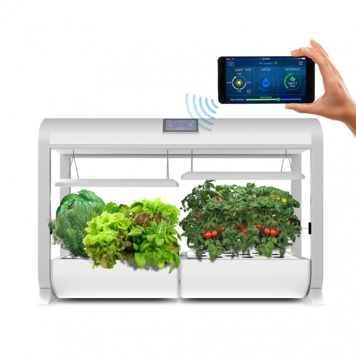 Indoor Hydroponic Gardening Systems Miracle-Gro Aerogarden 9-Pod Gourmet Herb Seed Kit-809500 Image 280
