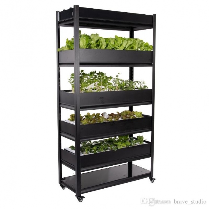 Indoor Hydroponic Growing Systems 2020 Automatic Home Hydroponic Systems Smart Indoor Photo 220