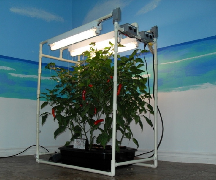 Indoor Hydroponic Growing Systems Diy Hydroponics Image 624