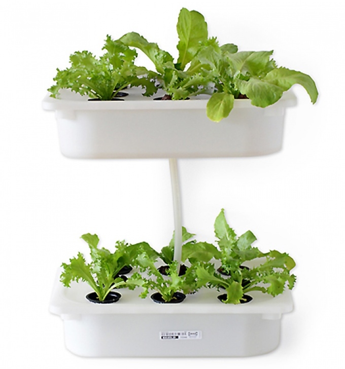 Indoor Hydroponic Growing Systems How To Build Indoor Hydroponic Gardens Using Ikea Storage Photo 855